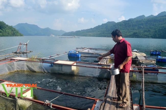 Vốn tín dụng chính sách “mở cửa” thoát nghèo ở một huyện miền núi của tỉnh Hoà Bình- Ảnh 1.