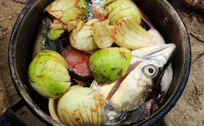 Loại quả dại xưa không ai ngó nay thành đặc sản mùa hè, 120.000 đồng/kg- Ảnh 3. Loại quả dại xưa không ai ngó nay thành đặc sản mùa hè, 120.000 đồng/kg- Ảnh 3.