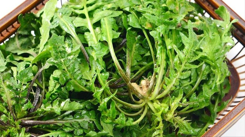 Thứ gan thích nhất không phải là bồ công anh mà là 3 loại rau tươi non, ngon miệng này - Ảnh 15.