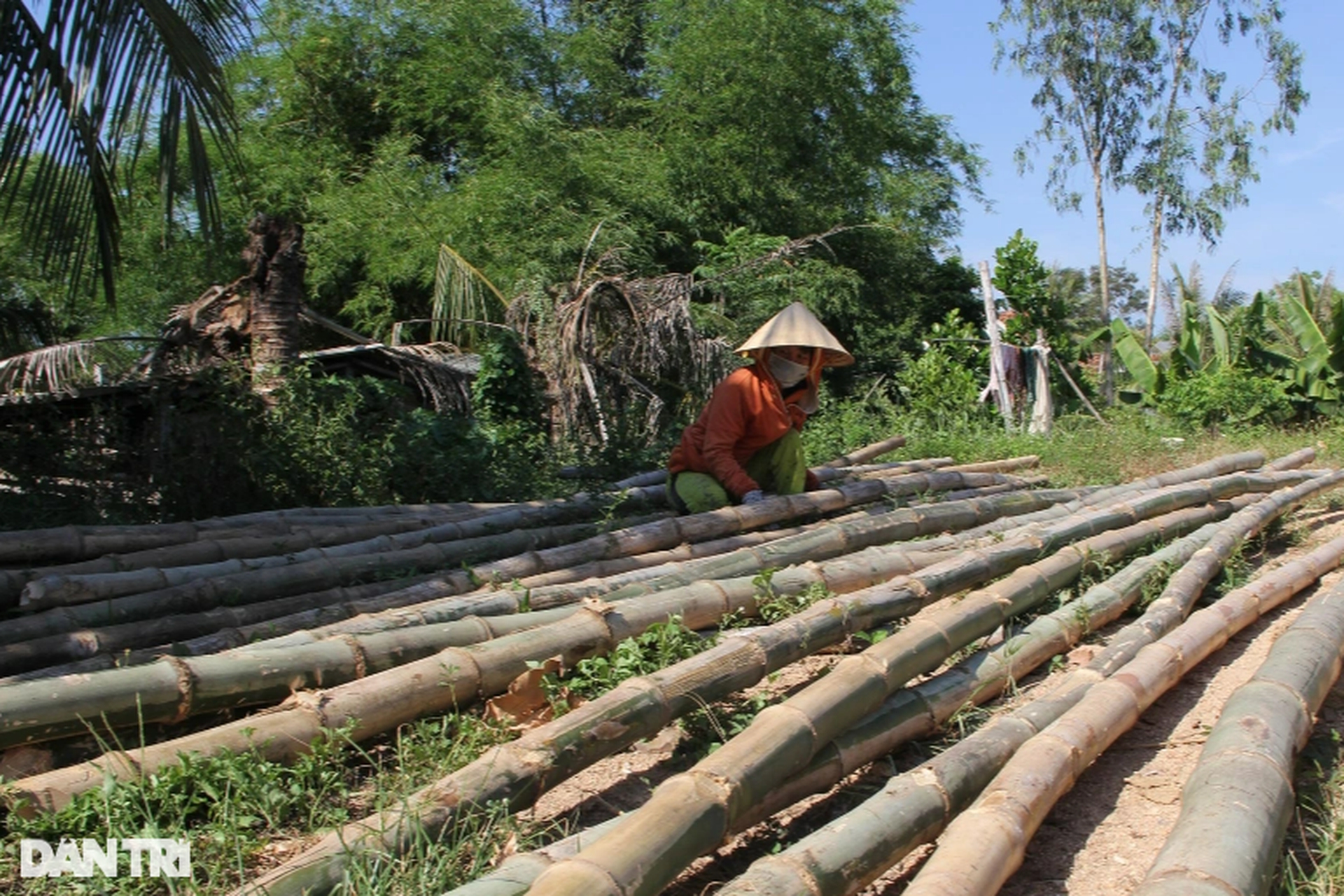 Thuyền thúng tre xuất ngoại tơi tới, đôi vợ chồng làm giàu từ nghề... bỏ đi- Ảnh 4.