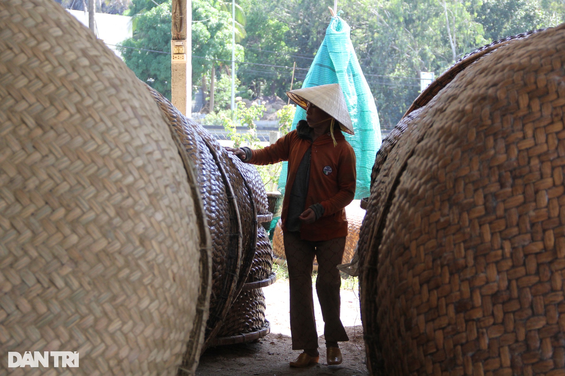 Thuyền thúng tre xuất ngoại tơi tới, đôi vợ chồng làm giàu từ nghề... bỏ đi- Ảnh 2.