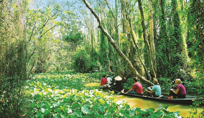 Những điểm du lịch hấp dẫn nhất năm 2024 ở Đồng Tháp       - Ảnh 8.