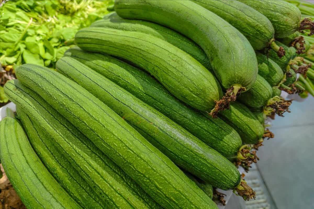 Người già dặn: Người già dặn: