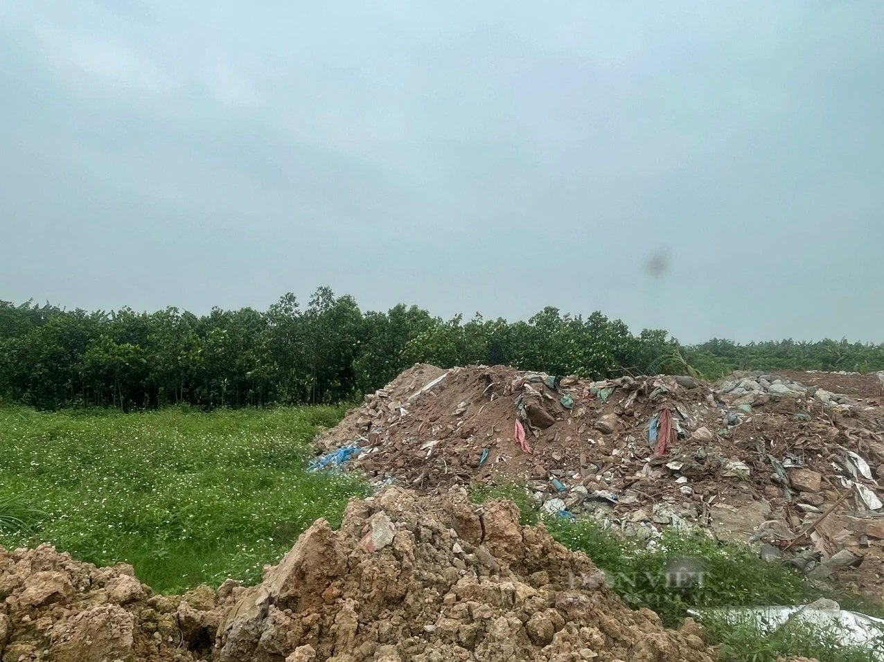 Đổ phế thải, tập kết vật liệu trái phép ven sông Hồng địa phận huyện Đông Anh (Hà Nội)- Ảnh 2.