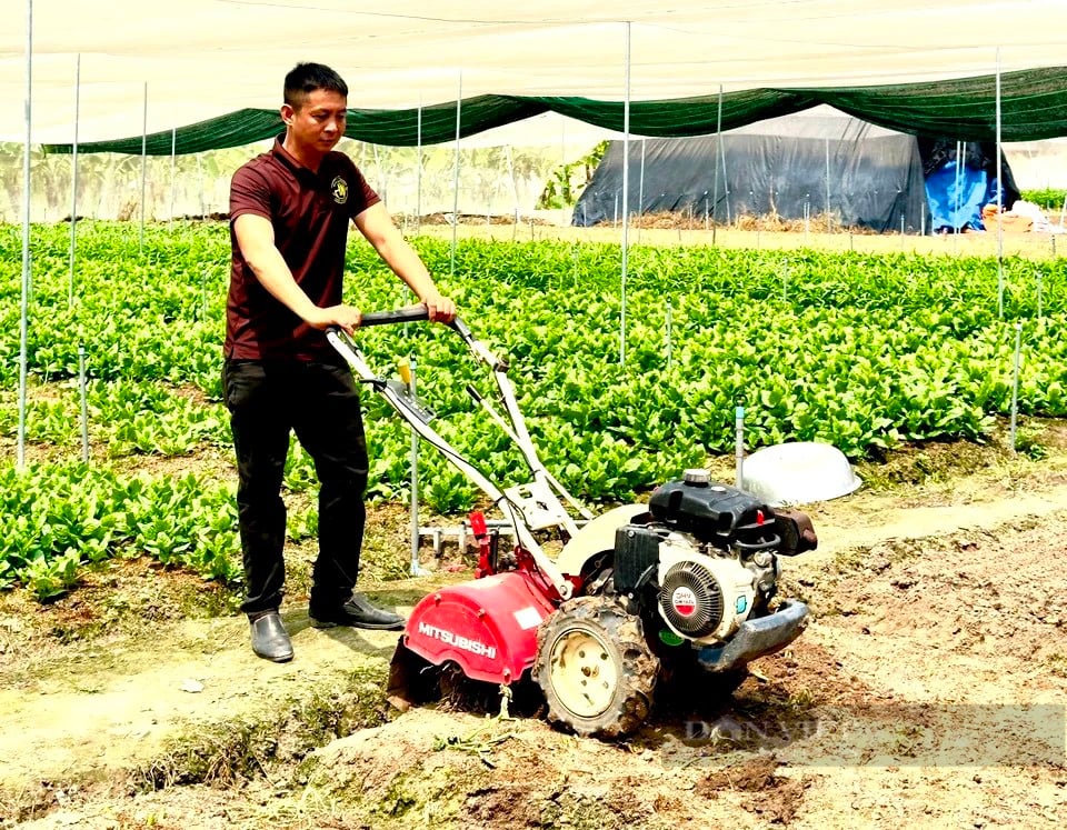 TP.HCM: Hợp tác xã “chủ xị” xây dựng 3.200ha rau chất lượng cao- Ảnh 1.