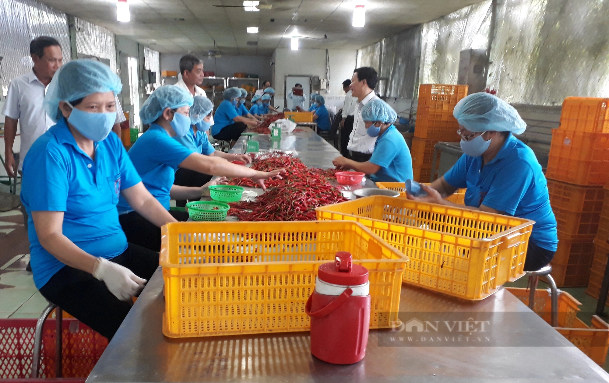 TP.HCM tăng vốn 2.000 tỷ, "cởi trói” để HTX phát triển xứng tầm- Ảnh 1.