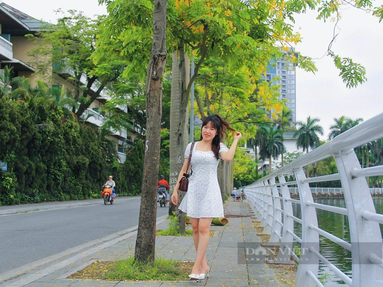 Rực rỡ sắc vàng hoa muồng hoàng yến tại nhiều tuyến phố của Thủ đô- Ảnh 3.