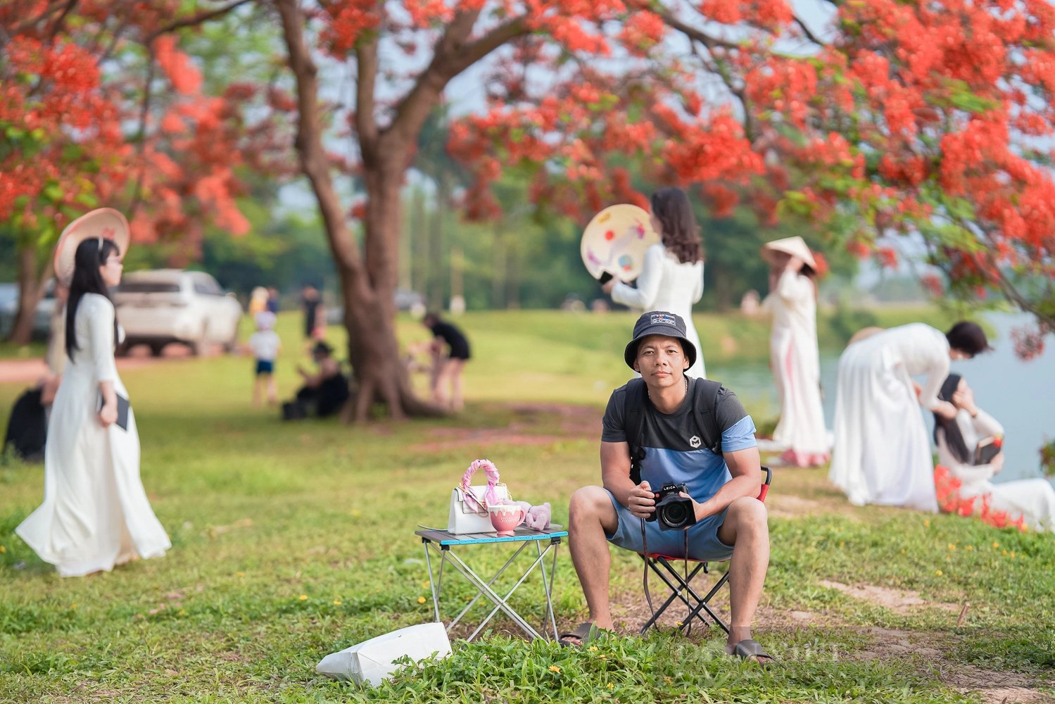 Cây phượng vĩ ở Đông Anh (Hà Nội) có gì đặc biệt mà “gây sốt” đến vậy?- Ảnh 2.