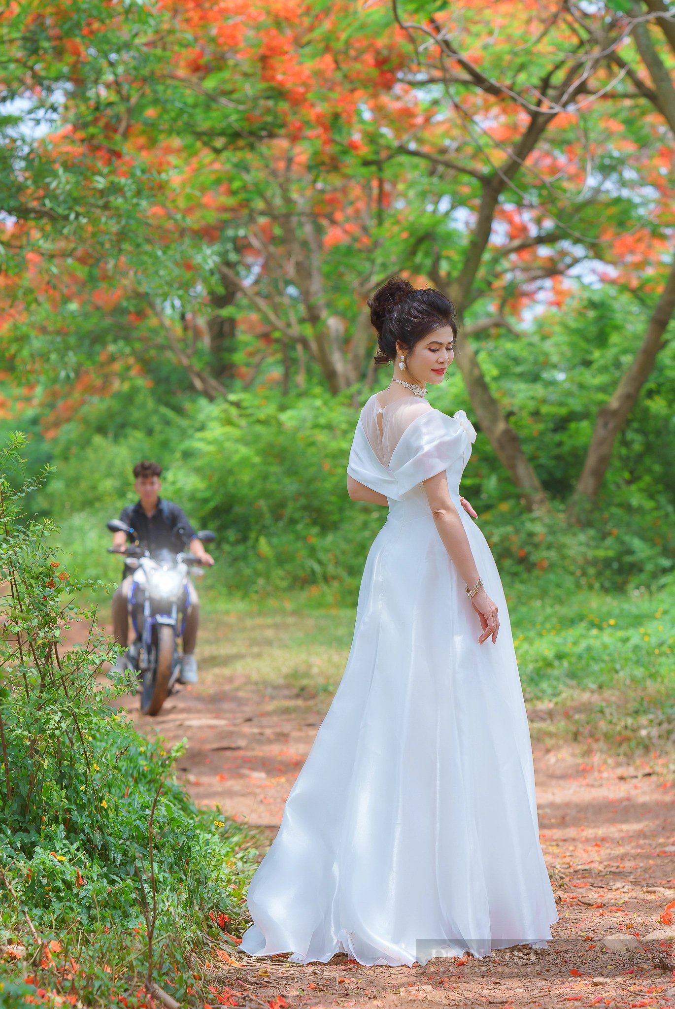 Cây phượng vĩ ở Đông Anh (Hà Nội) có gì đặc biệt mà “gây sốt” đến vậy?- Ảnh 6.