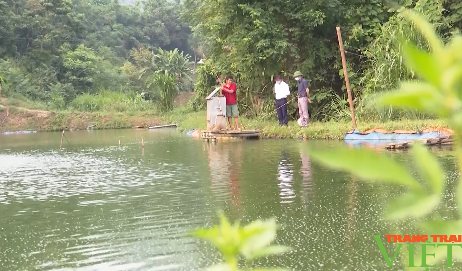 Đây là cách nông dân Lào Cai chống nắng nóng cho đàn cá nuôi- Ảnh 3.