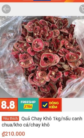 Loại quả xưa chín rụng bạt ngàn nay thành đặc sản giá 200.000 đồng/kg- Ảnh 2. Loại quả xưa chín rụng bạt ngàn nay thành đặc sản giá 200.000 đồng/kg- Ảnh 2.