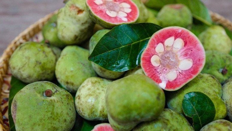 Loại quả xưa chín rụng bạt ngàn nay thành đặc sản giá 200.000 đồng/kg- Ảnh 3. Loại quả xưa chín rụng bạt ngàn nay thành đặc sản giá 200.000 đồng/kg- Ảnh 3.