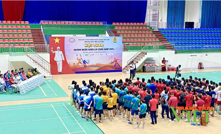 Lai Châu: 157 vận động viên tham gia hội thao ngành Ngân hàng- Ảnh 1. Lai Châu: 157 vận động viên tham gia hội thao ngành Ngân hàng- Ảnh 1.