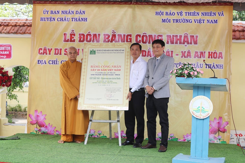 Một cây dầu rái 110 năm tuổi ở chùa Nam An, cao 40m, chu vi 3,3m được công nhận là cây di sản Việt Nam- Ảnh 1.