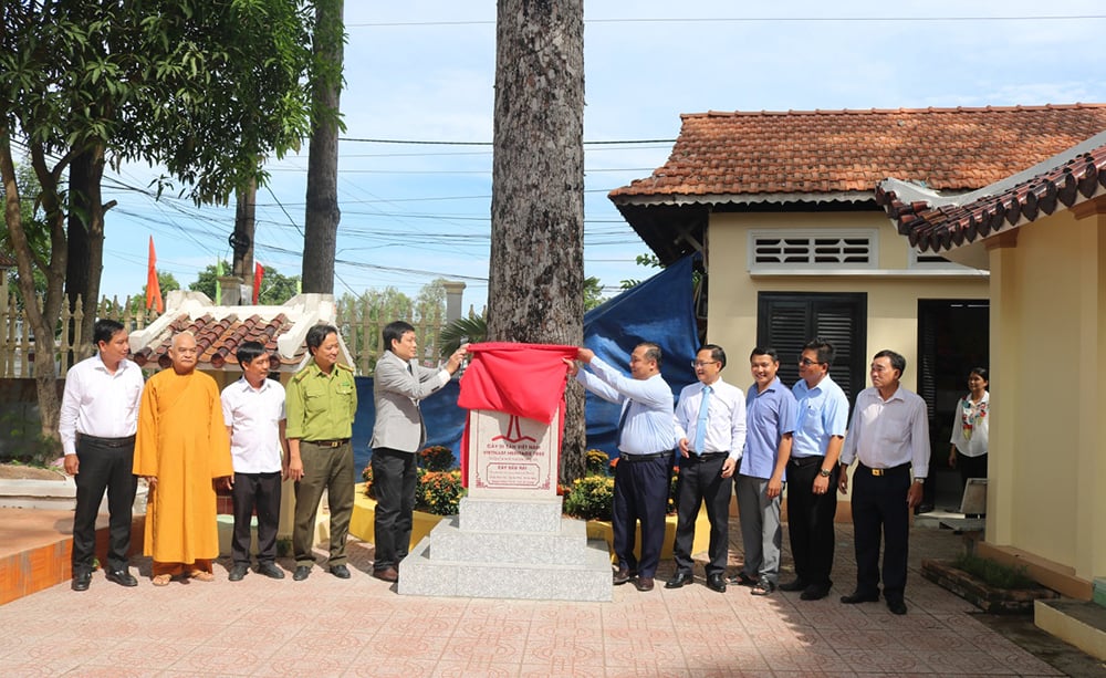 Một cây dầu rái 110 năm tuổi ở chùa Nam An, cao 40m, chu vi 3,3m được công nhận là cây di sản Việt Nam- Ảnh 2.