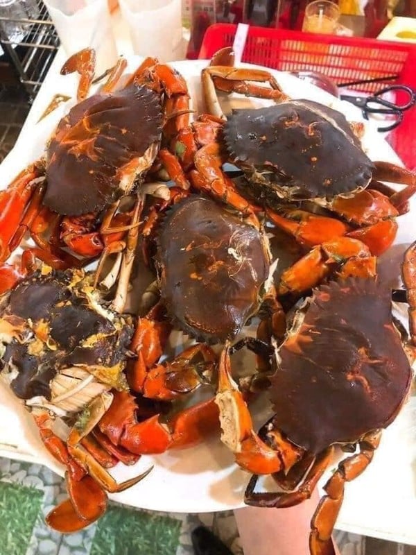 Ở Việt Nam có một loại cua trông thì “khù khờ” mà giá tới hơn nửa triệu đồng/kg vẫn hút khách- Ảnh 1.