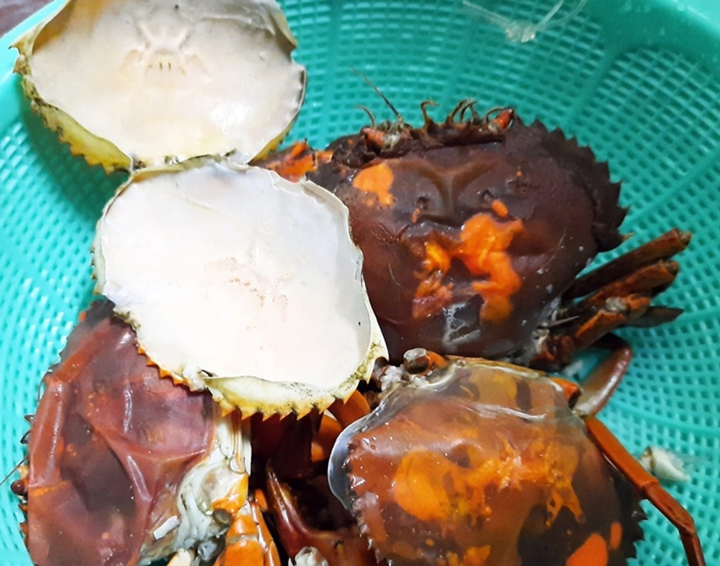 Ở Việt Nam có một loại cua trông thì “khù khờ” mà giá tới hơn nửa triệu đồng/kg vẫn hút khách- Ảnh 4.
