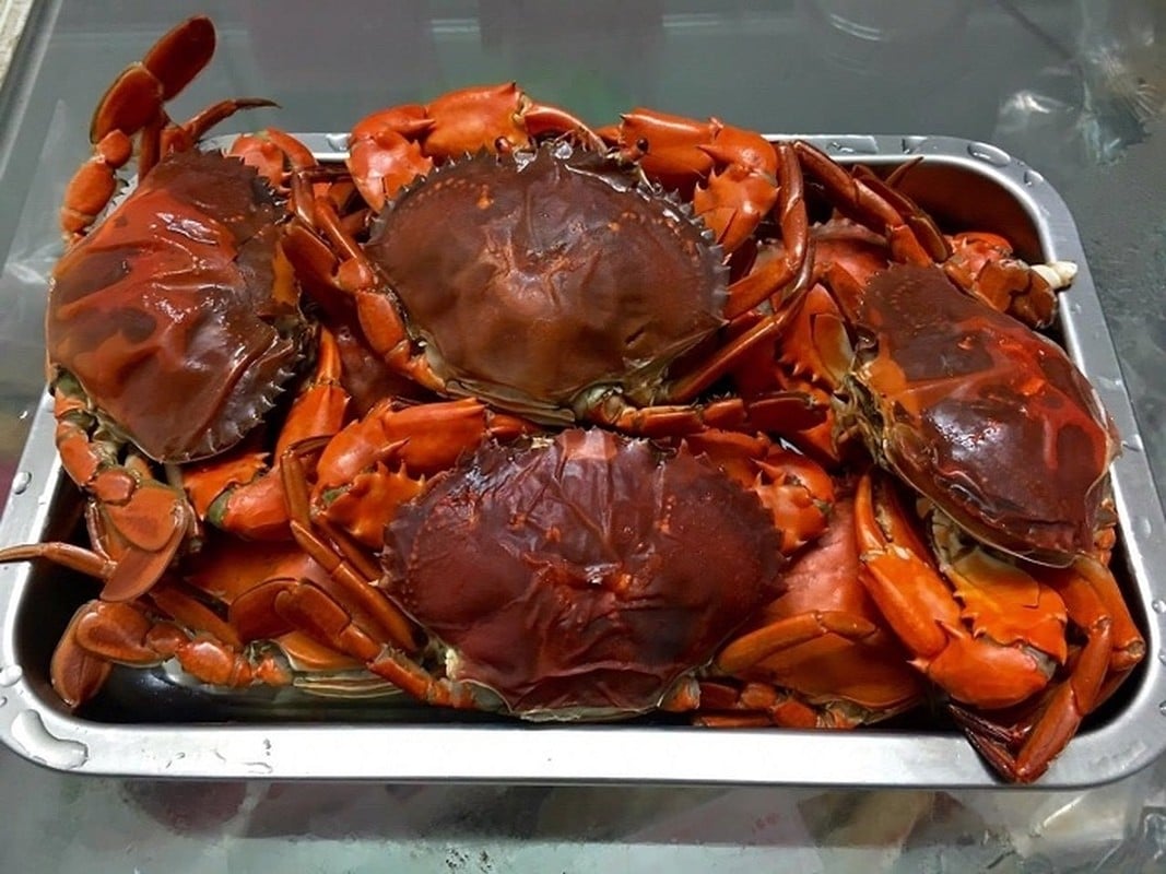 Ở Việt Nam có một loại cua trông thì “khù khờ” mà giá tới hơn nửa triệu đồng/kg vẫn hút khách- Ảnh 6.