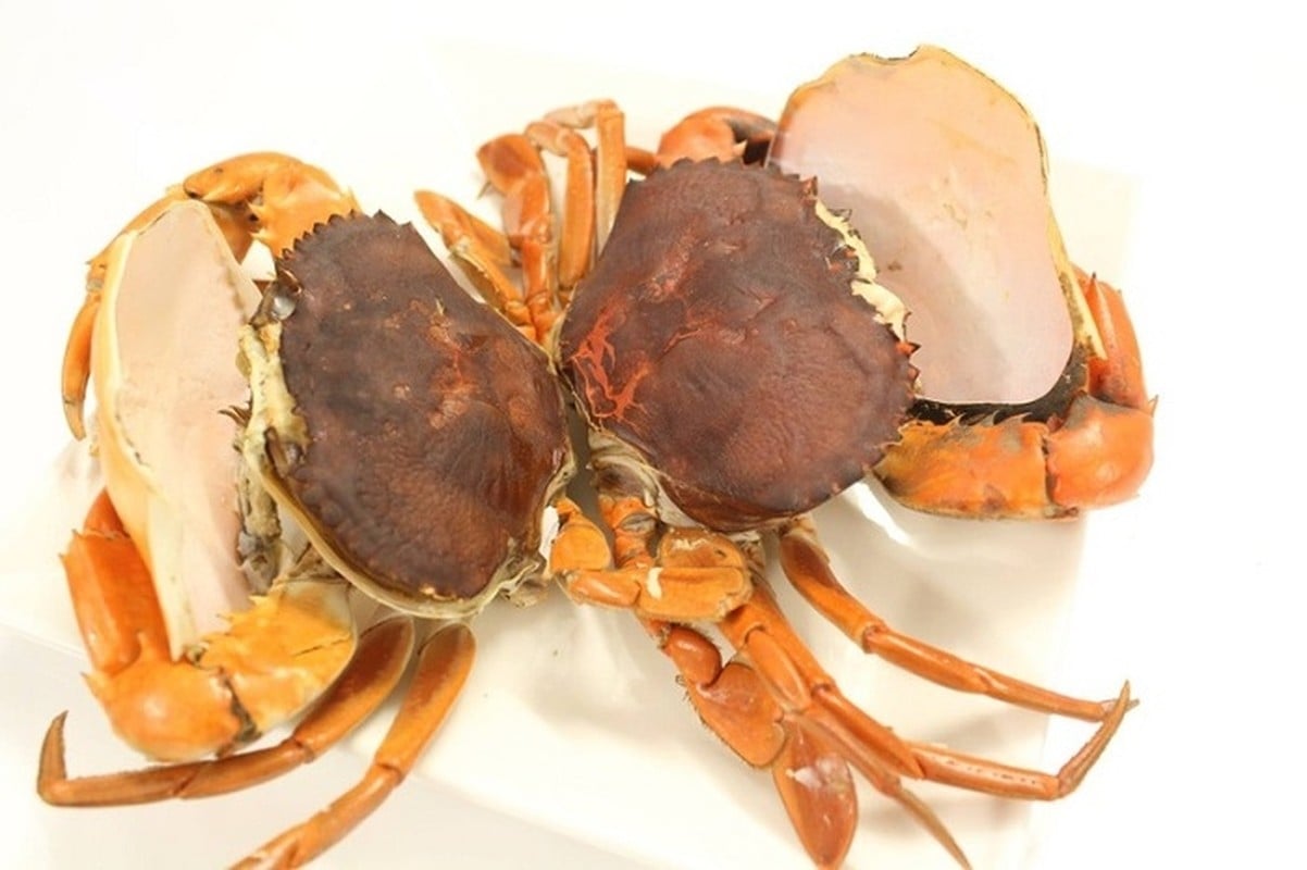 Ở Việt Nam có một loại cua trông thì “khù khờ” mà giá tới hơn nửa triệu đồng/kg vẫn hút khách- Ảnh 8.