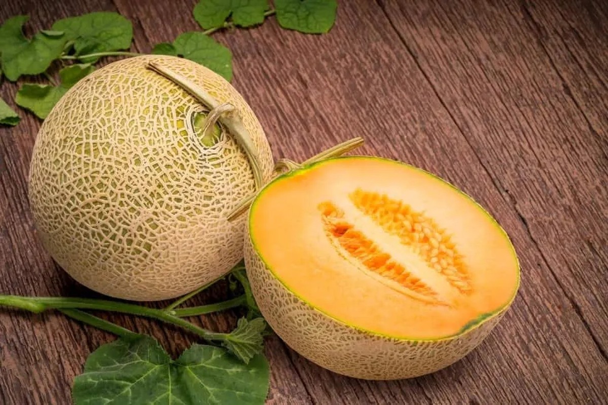 Cặp dưa lưới Nhật Bản vừa bán gần nửa tỷ đồng- Ảnh 6.