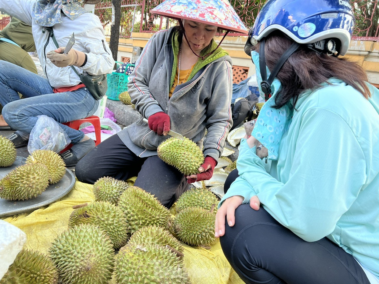 Loạn giá sầu riêng- Ảnh 1.