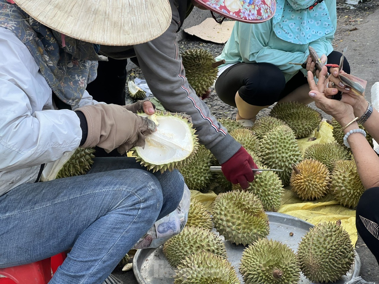 Loạn giá sầu riêng- Ảnh 7.