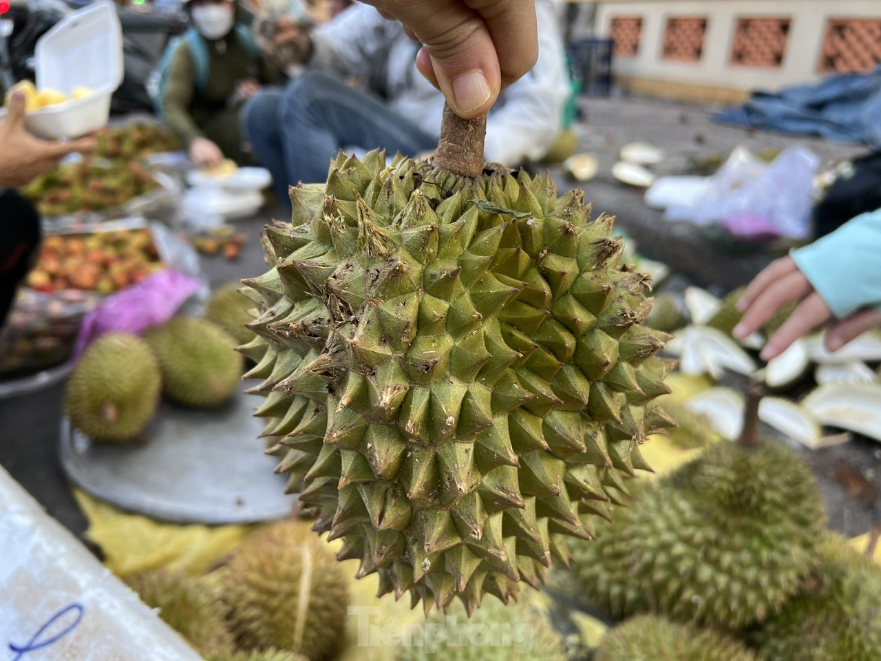 Loạn giá sầu riêng- Ảnh 2.
