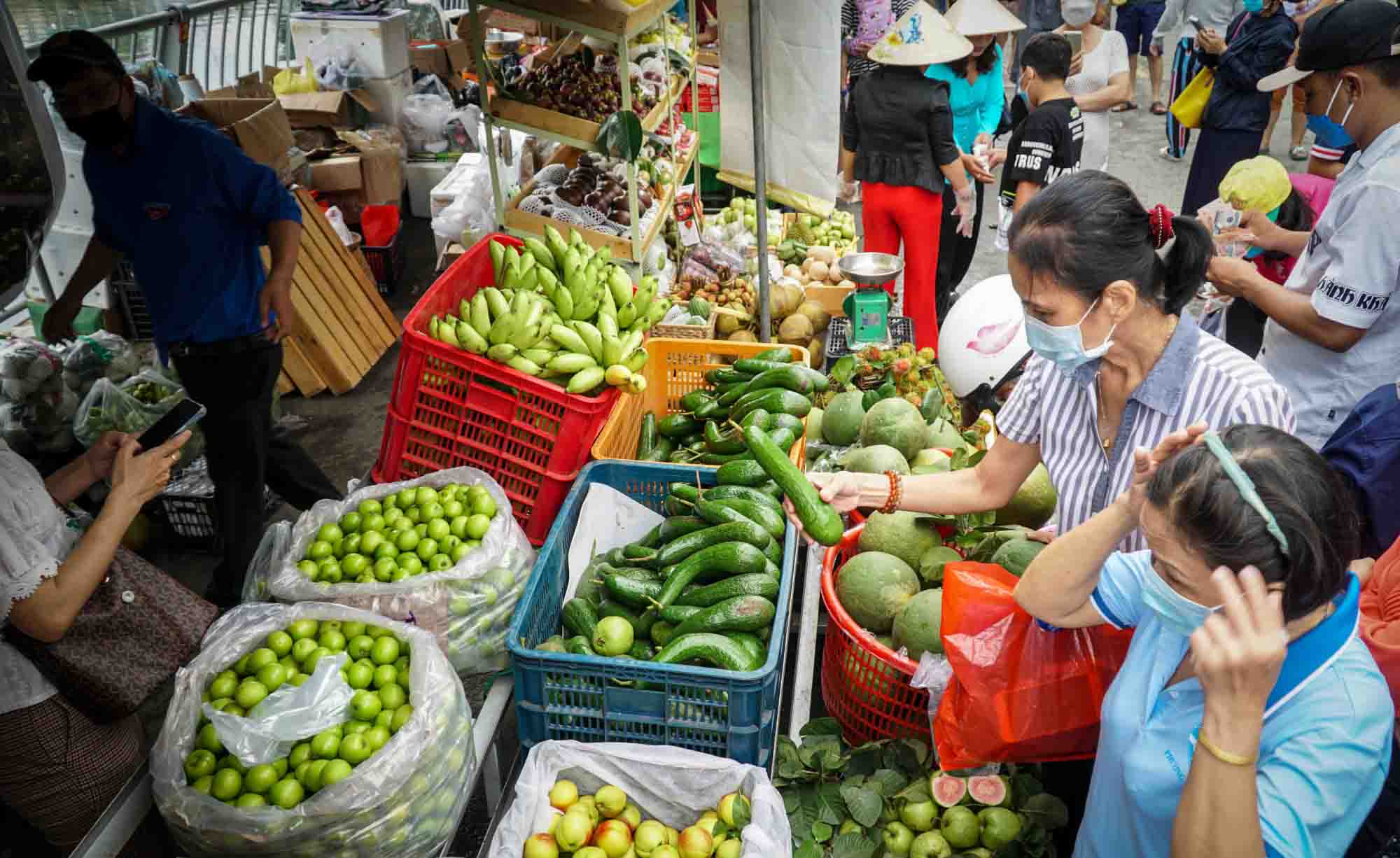 Đẩy mạnh tiêu thụ nông sản ở Tuần lễ trái cây "Trên bến dưới thuyền"- Ảnh 1.