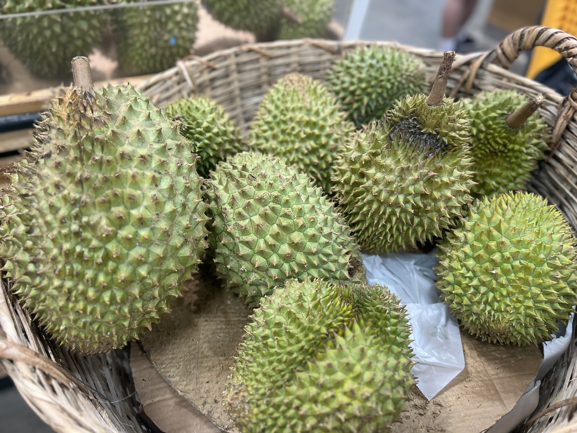 Loạn giá sầu riêng- Ảnh 5.