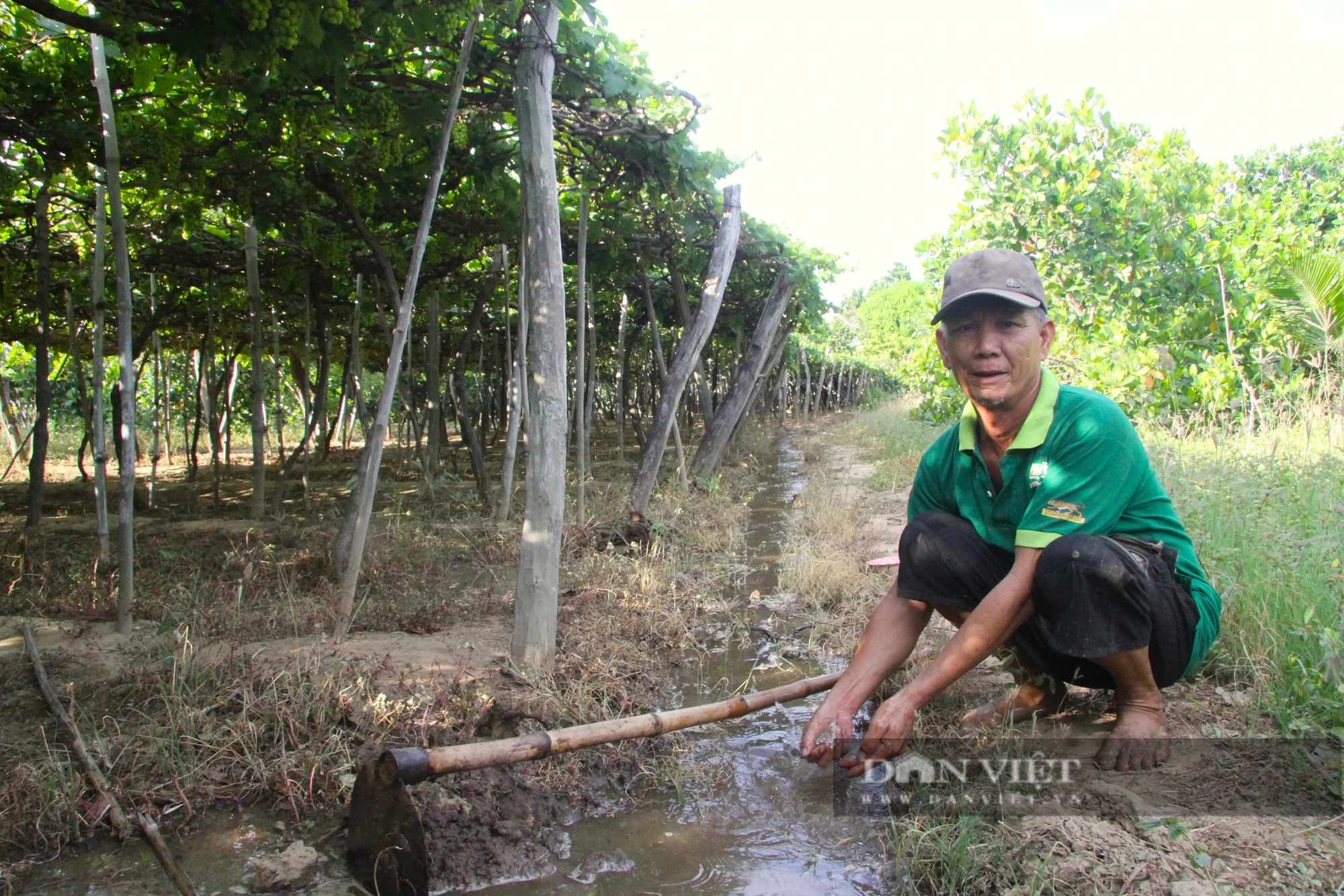 Một hồ nước ngọt 3,5 triệu m3 ở cửa biển Ninh Thuận do đập ngăn mặn hạ lưu Sông Dinh tạo thành- Ảnh 2.