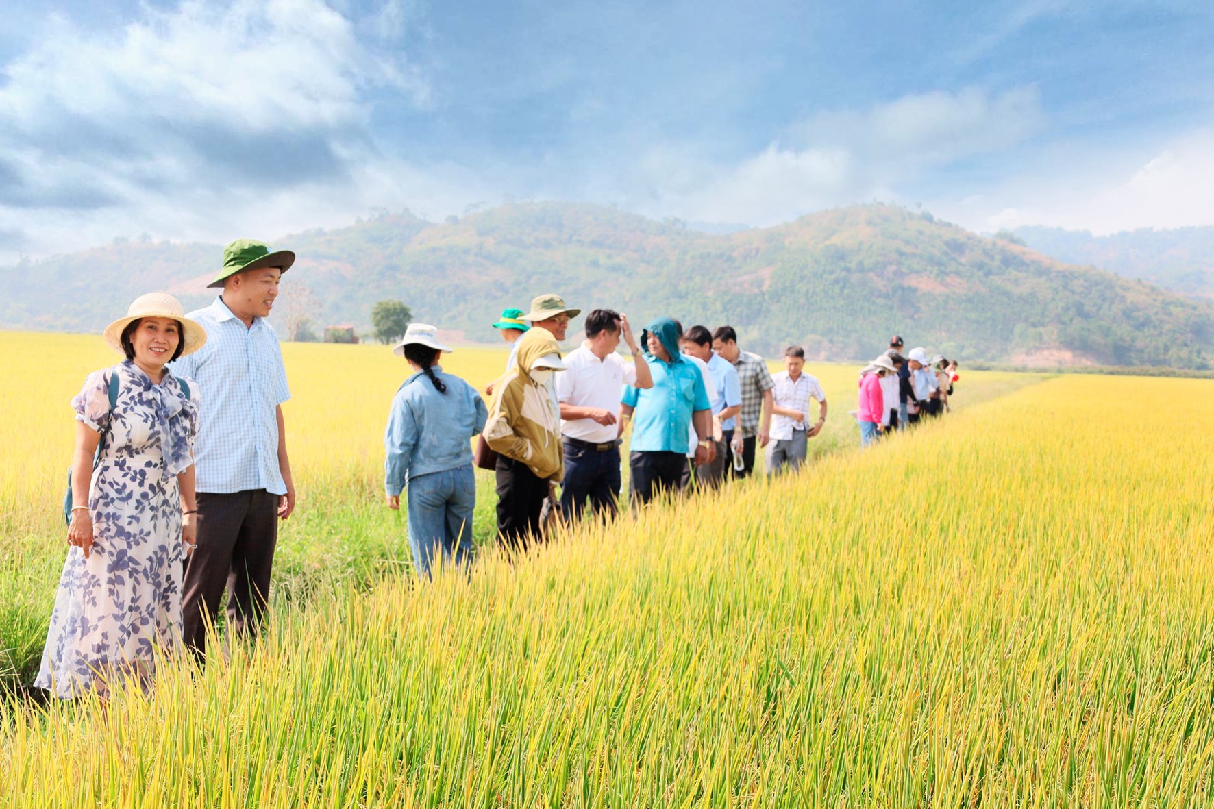 Mới lạ: Nông dân trồng lúa Đắk Lắk có cơ hội kiếm thêm hàng triệu USD nhờ bán tín chỉ carbon- Ảnh 3.