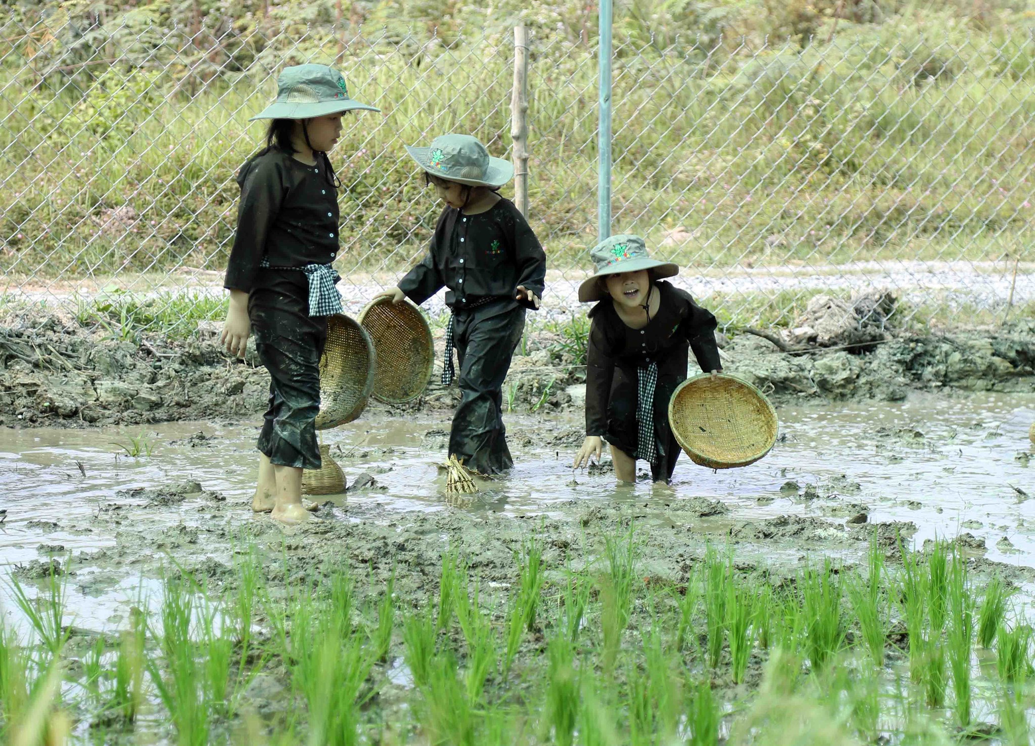 Lĩnh vực nắm nhiều lợi thế nhưng lắm bộn bề ở TP.HCM - Ảnh 2.