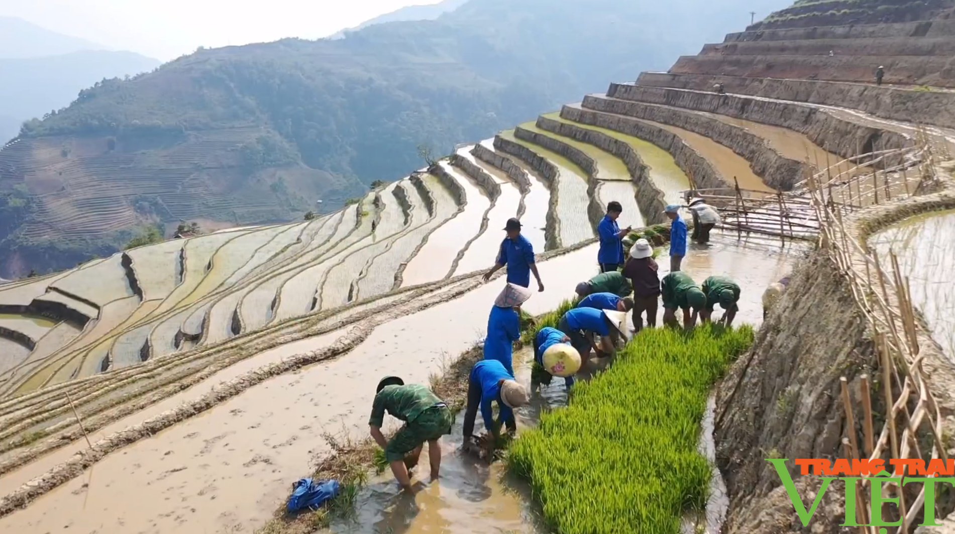 Xúc động hình ảnh tuổi trẻ huyện Mường Tè bì bõm lội ruộng cấy lúa giúp dân- Ảnh 1. Xúc động hình ảnh tuổi trẻ huyện Mường Tè bì bõm lội ruộng cấy lúa giúp dân- Ảnh 1.