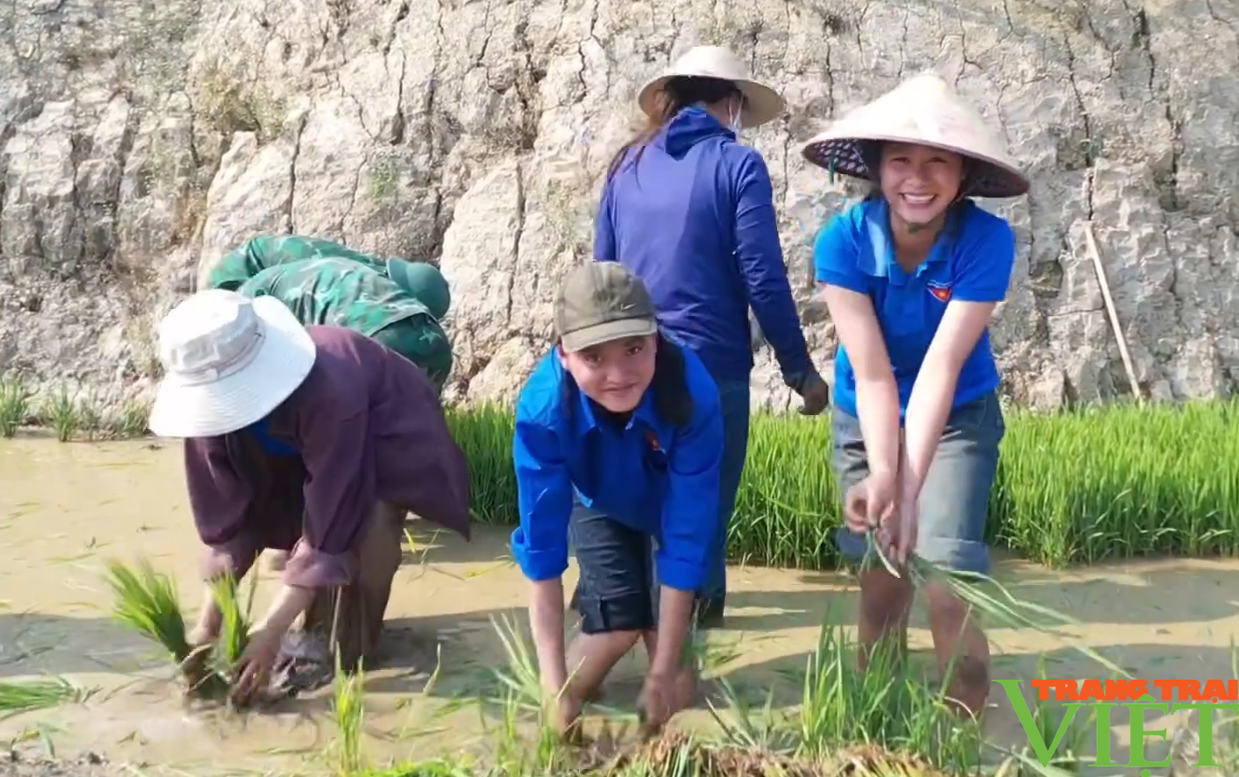 Xúc động hình ảnh tuổi trẻ huyện Mường Tè bì bõm lội ruộng cấy lúa giúp dân- Ảnh 5. Xúc động hình ảnh tuổi trẻ huyện Mường Tè bì bõm lội ruộng cấy lúa giúp dân- Ảnh 5.