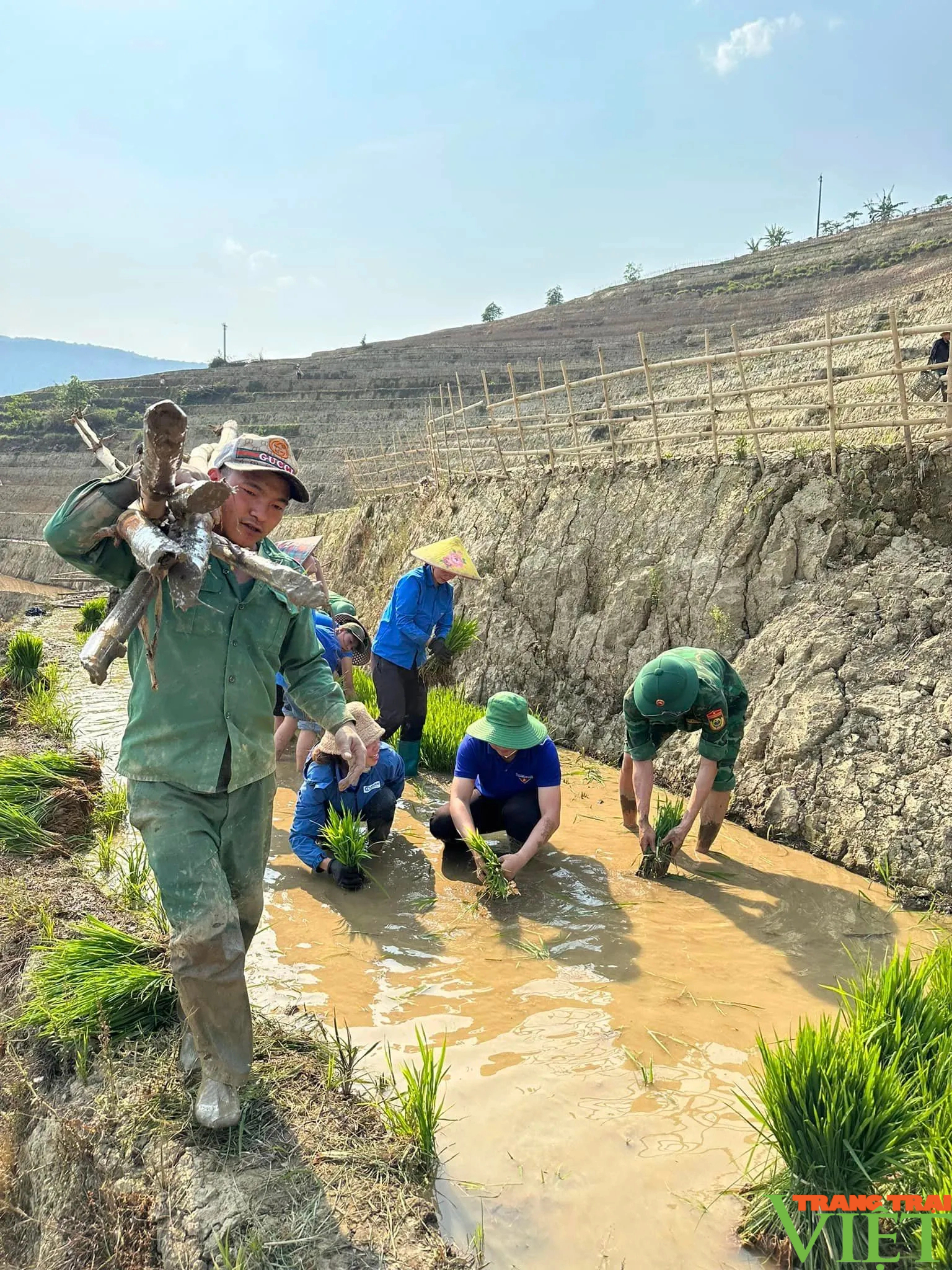 Xúc động hình ảnh tuổi trẻ huyện Mường Tè bì bõm lội ruộng cấy lúa giúp dân- Ảnh 8. Xúc động hình ảnh tuổi trẻ huyện Mường Tè bì bõm lội ruộng cấy lúa giúp dân- Ảnh 8.