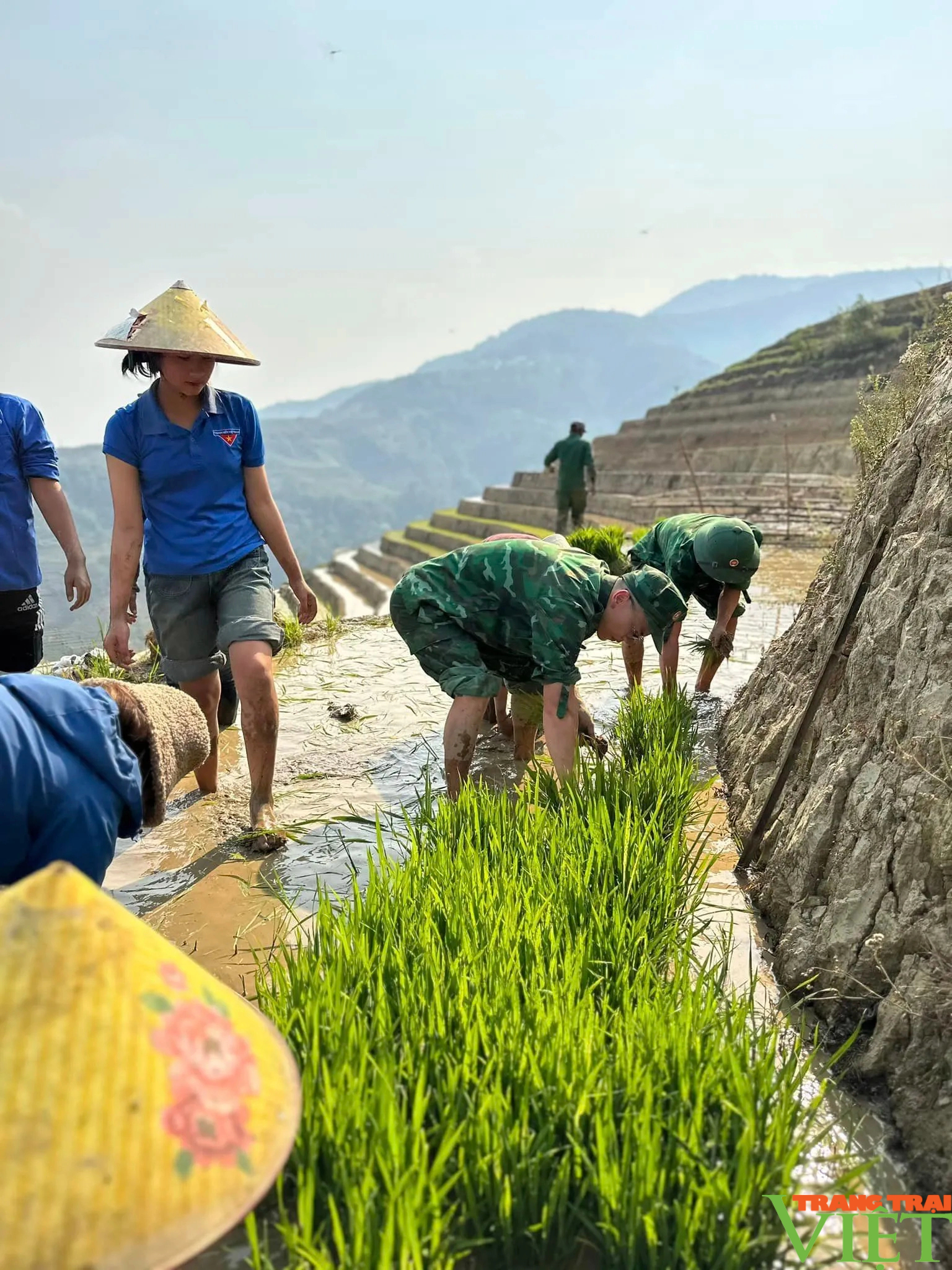 Xúc động hình ảnh tuổi trẻ huyện Mường Tè bì bõm lội ruộng cấy lúa giúp dân- Ảnh 9. Xúc động hình ảnh tuổi trẻ huyện Mường Tè bì bõm lội ruộng cấy lúa giúp dân- Ảnh 9.