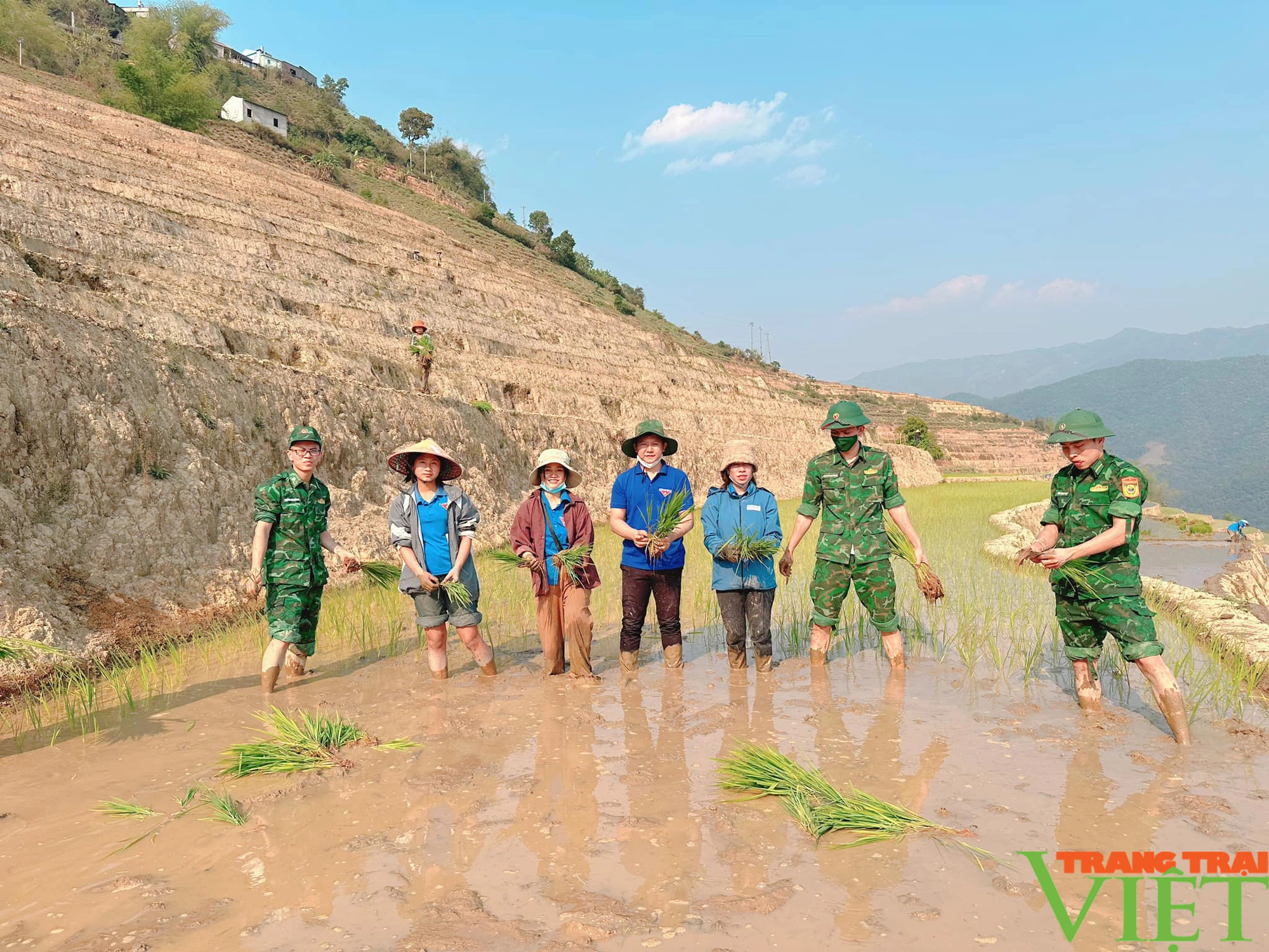 Xúc động hình ảnh tuổi trẻ huyện Mường Tè bì bõm lội ruộng cấy lúa giúp dân- Ảnh 13. Xúc động hình ảnh tuổi trẻ huyện Mường Tè bì bõm lội ruộng cấy lúa giúp dân- Ảnh 13.