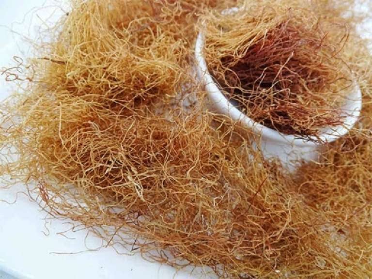 Bộ phận bỏ đi này lại là vị thuốc quý, đem nấu với bí đao thành nước giải nhiệt, vừa ngon vừa bổ- Ảnh 1.