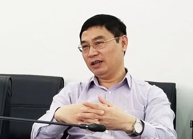 Đàn châu chấu tre lưng vàng khổng lồ xuất hiện ở Cao Bằng, Lạng Sơn, Cục Bảo vệ thực vật khuyến cáo những gì?- Ảnh 1.