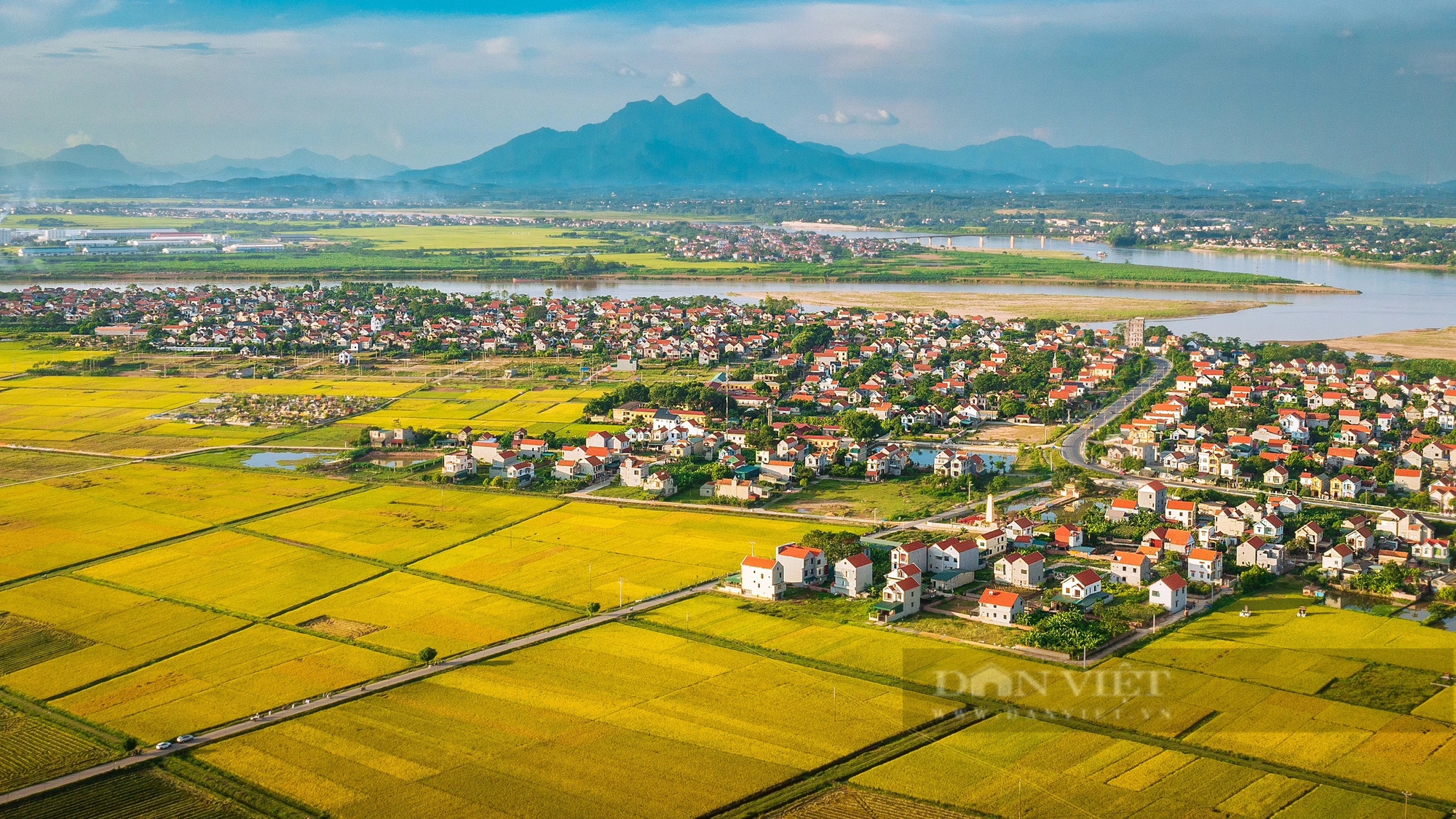 Được mùa lúa xuân, nông dân đất Tổ phấn khởi, đi gặt mà cười tươi như hoa- Ảnh 6.