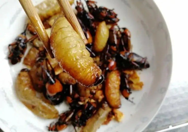 Vào rừng chặt tre bỗng vớ “mỏ vàng”, giá gần 400.000đ/kg, ở Việt Nam có đầy mà ít người dám thử- Ảnh 5.