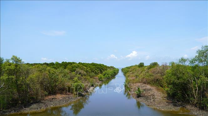 Nuôi một loài đặc sản thịt ngon ngọt dưới tán rừng ở một nơi của Kiên Giang, bắt hàng tấn, bán đắt tiền- Ảnh 10.