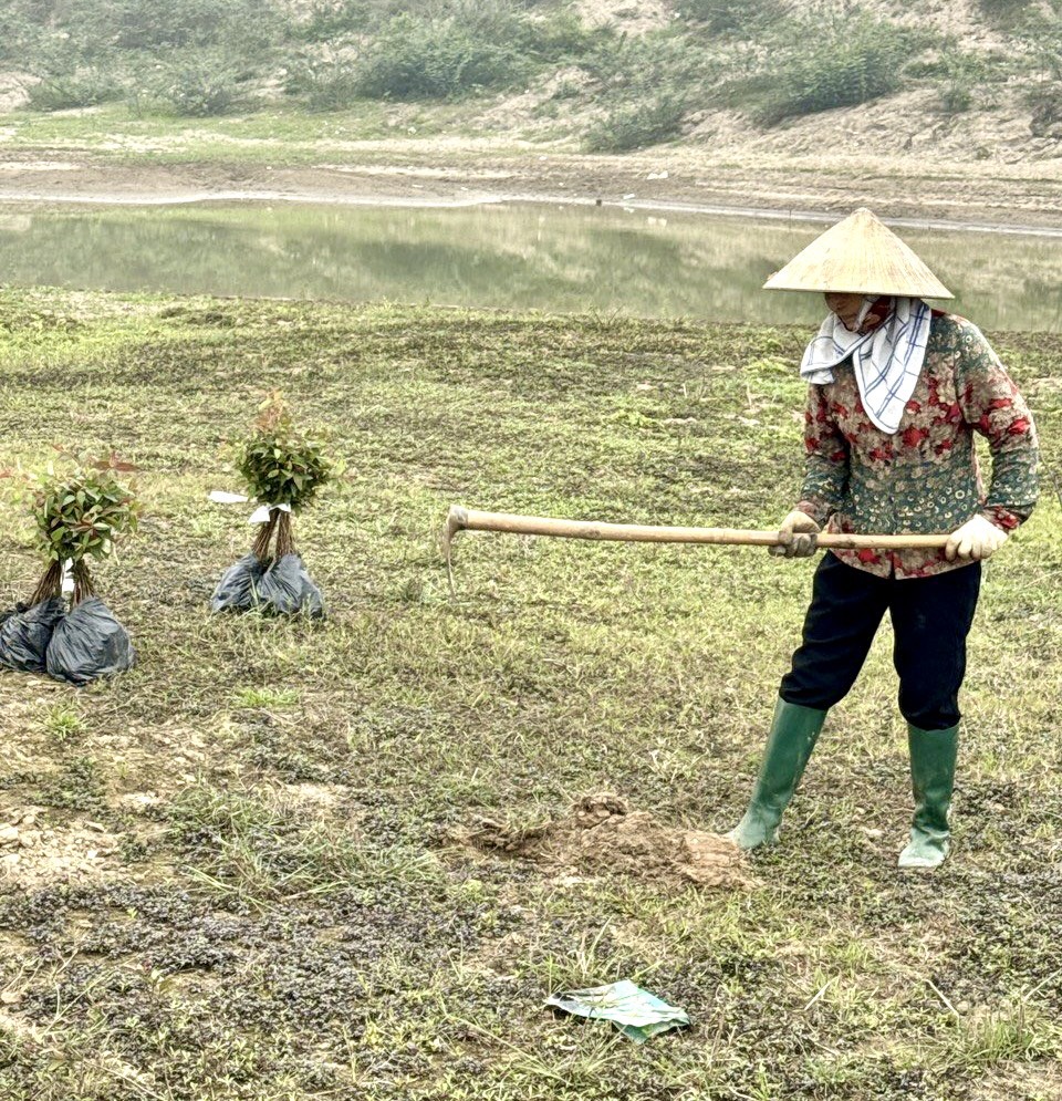 Phú Thọ: Vì sao doanh nghiệp trúng đấu giá, được cấp phép mỏ cát nhưng gặp khó trong khai thác cát?- Ảnh 2.