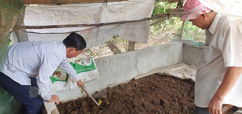 Ông nông dân Bến Tre nuôi một con vật chui rúc, biến thứ bẩn ra phân bón tốt, nhà khá giả hẳn lên- Ảnh 1.