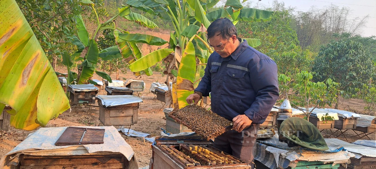 Nuôi cả 