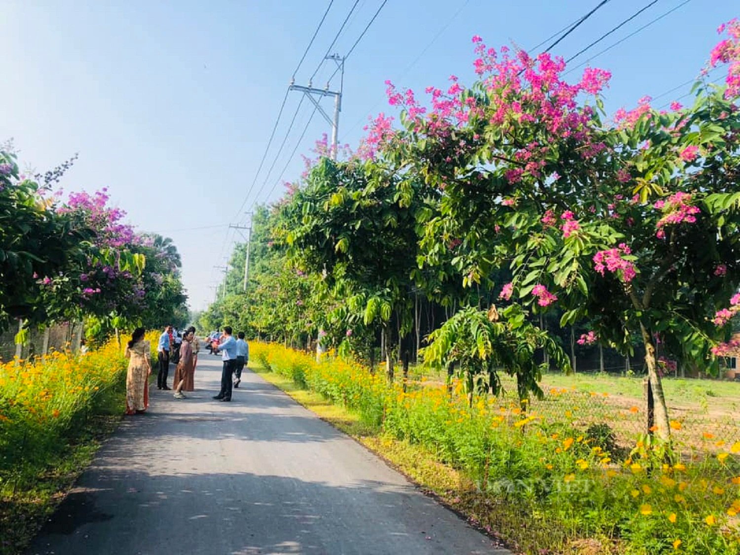 Huyện Củ Chi sẽ hình thành vùng nguyên liệu tập trung đối với các sản phẩm chủ lực- Ảnh 1.