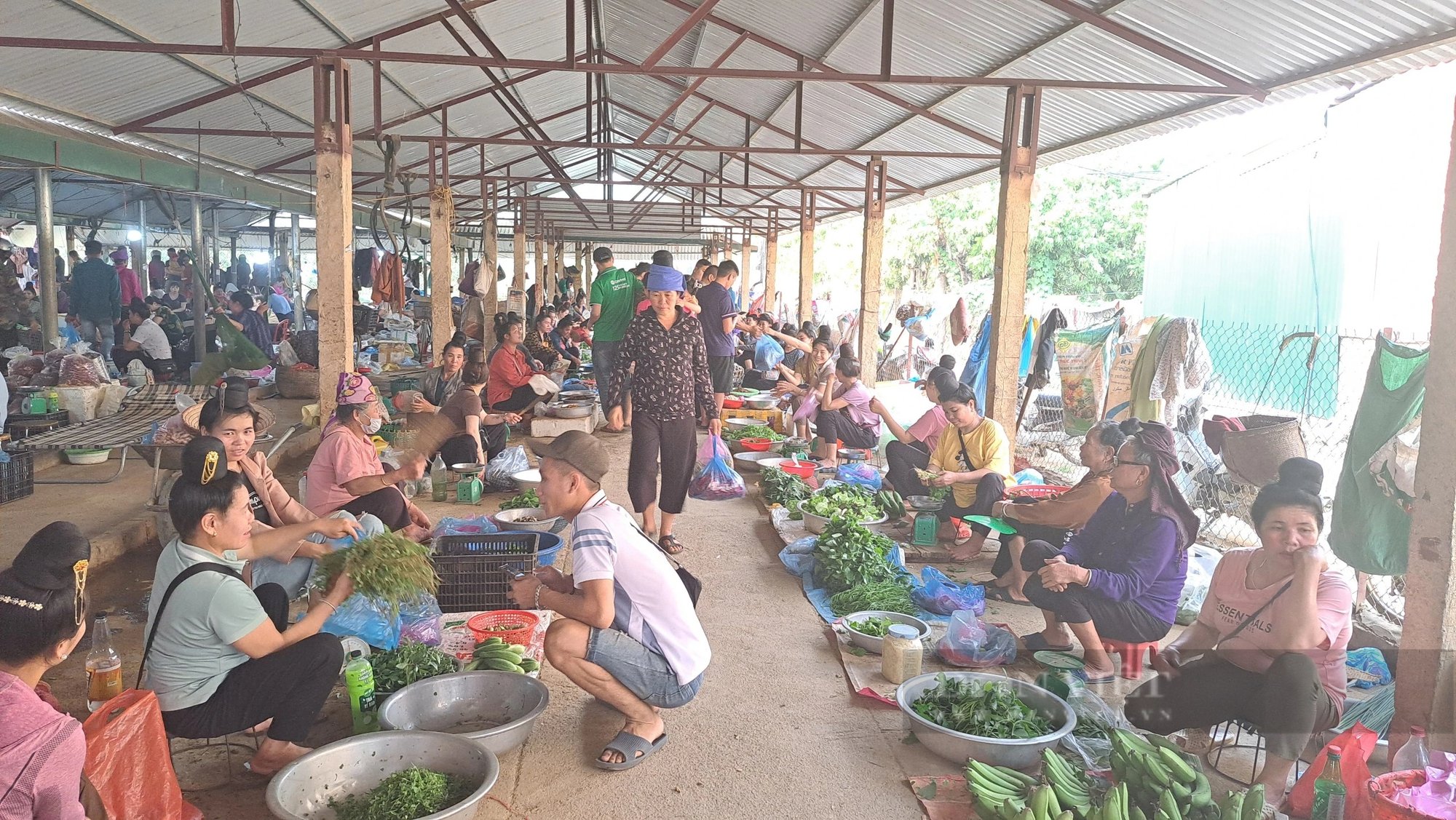 Chợ côn trùng 