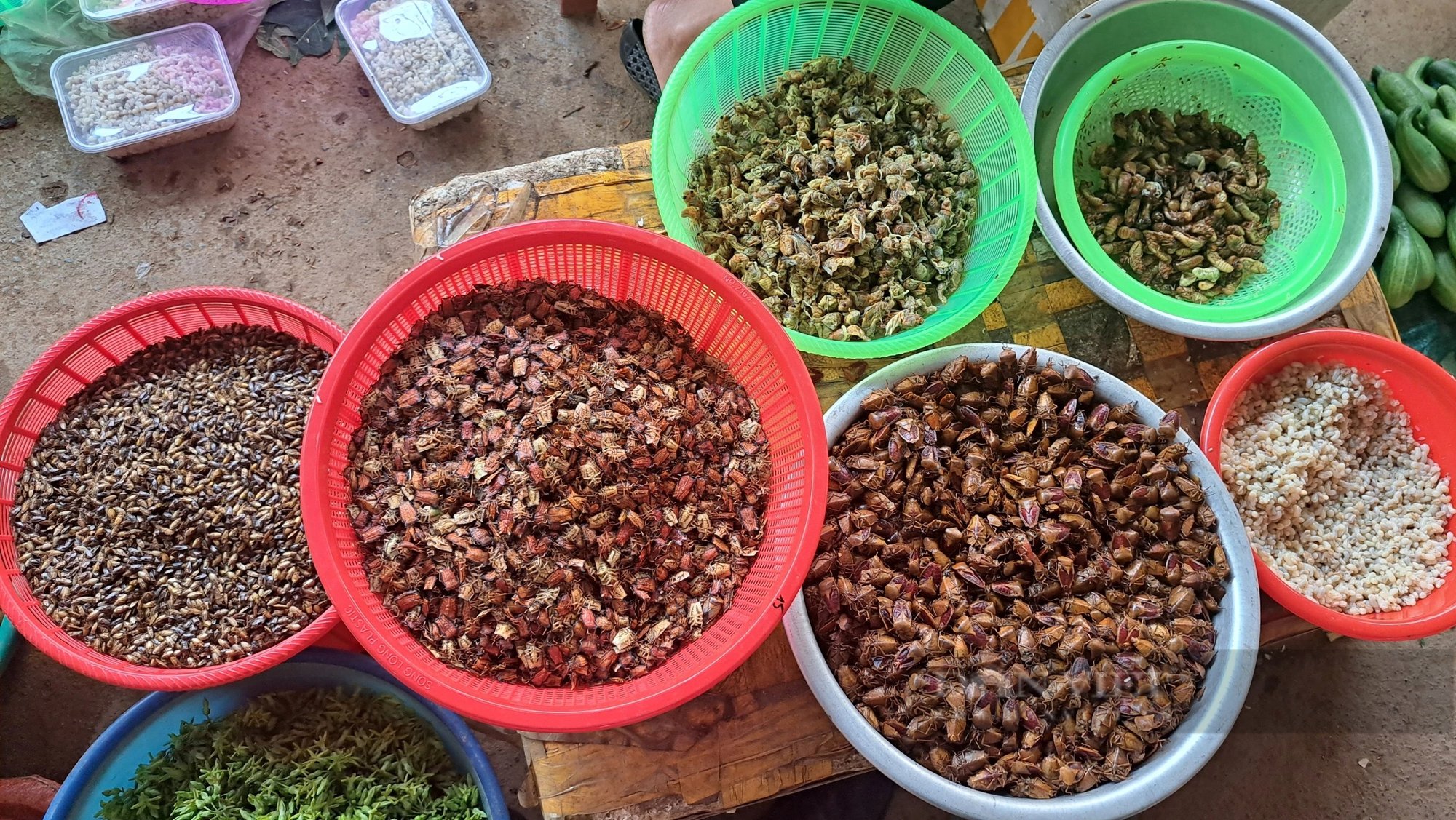 Chợ côn trùng 