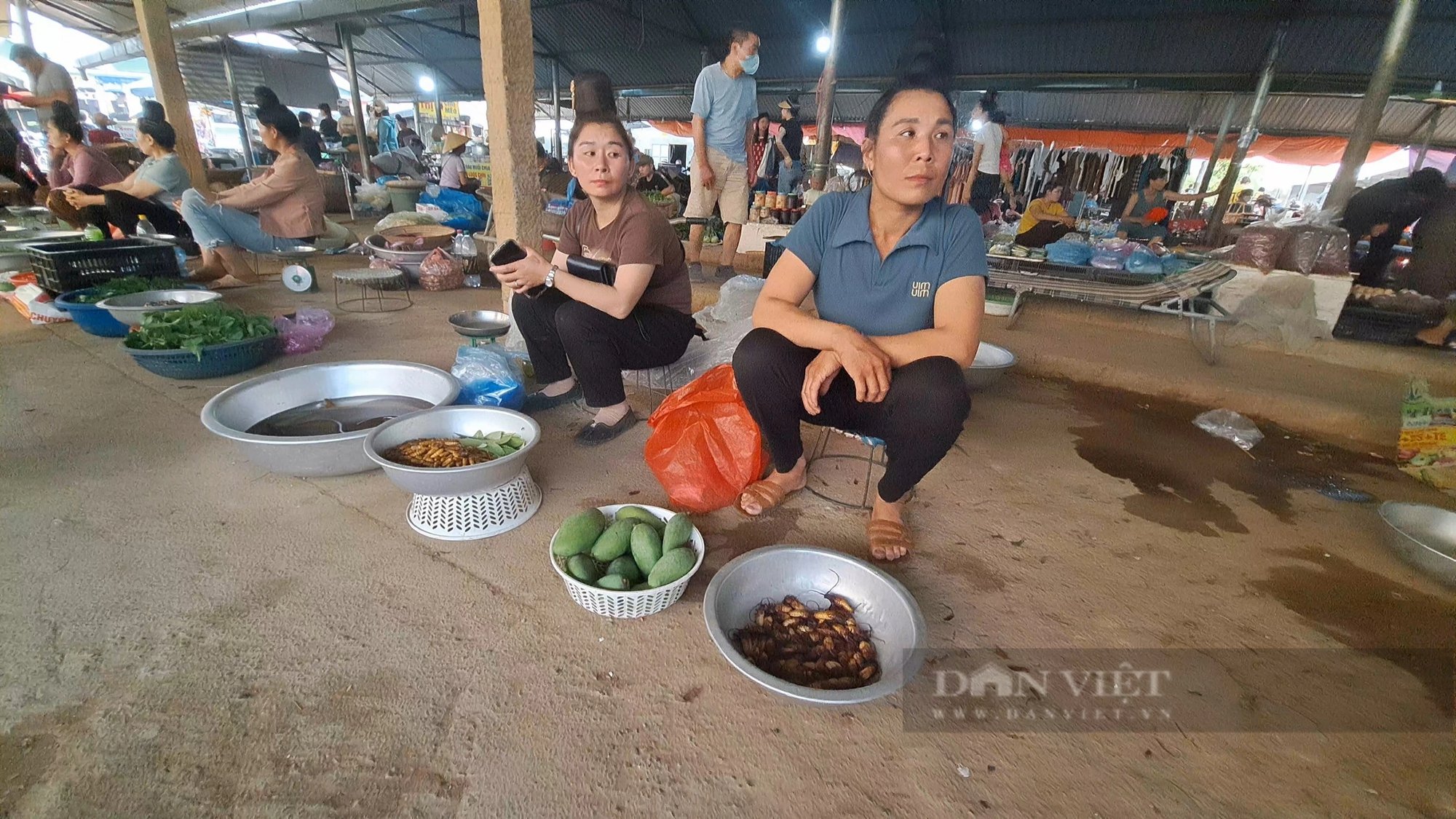 Chợ côn trùng 