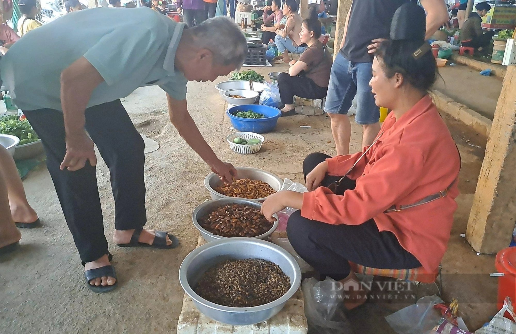 Chợ côn trùng 